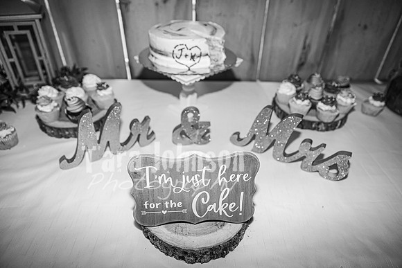 Joe & Krista Yeskey - Highlights - BW - TJP (169 of 173)