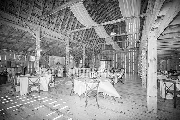 Shane & Amanda Konkol - BW - TJP (11 of 536)