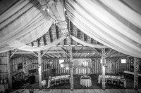 Shane & Amanda Konkol - BW - TJP (15 of 536)