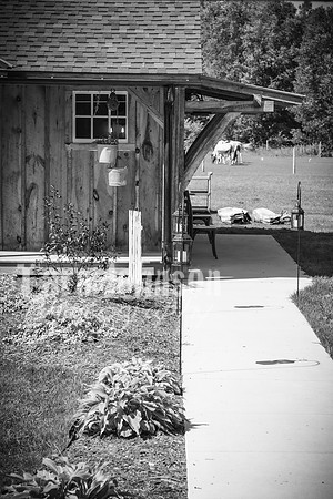 Shane & Amanda Konkol - BW - TJP (169 of 536)