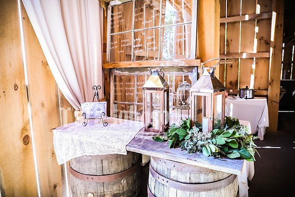 Leap of Faith Wedding Barn - TJP (15 of 127)