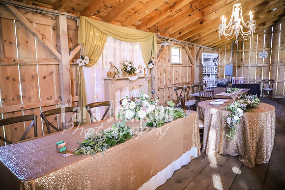 Leap of Faith Wedding Barn - TJP (1 of 127)