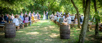 Shane & Amanda Konkol - TJP (273 of 536)