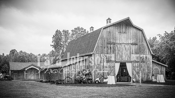 Yeskey Wedding - Complete - BW - TJP (4 of 736)