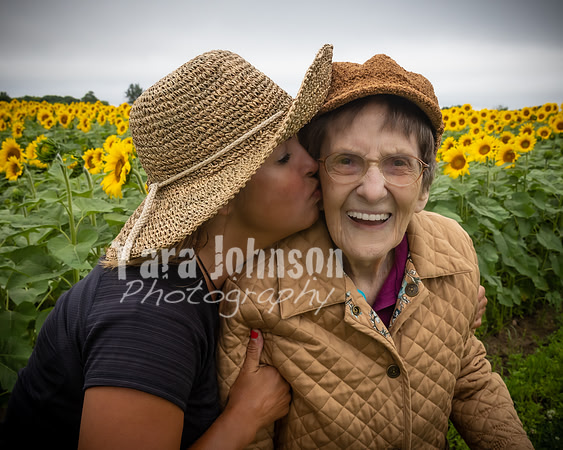 Sunflowers - TJP (6 of 29)