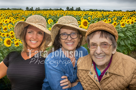 Sunflowers - TJP (9 of 29)