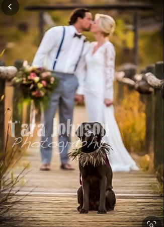 Greg & Autumn Ideas - TJP (27 of 39)