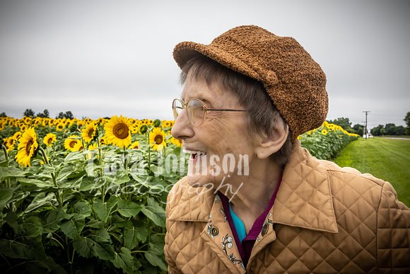 Sunflowers - TJP (2 of 29)