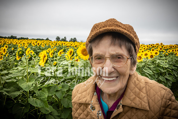 Sunflowers - TJP (3 of 29)