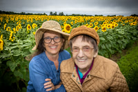 Sunflowers - TJP (5 of 29)