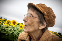 Sunflowers - TJP (8 of 29)