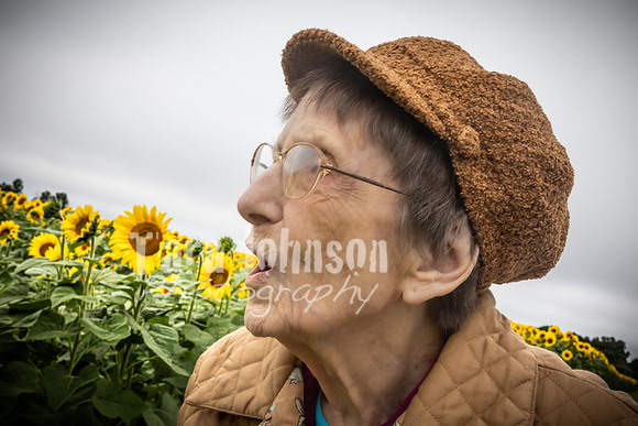 Sunflowers - TJP (8 of 29)