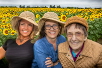 Sunflowers - TJP (9 of 29)