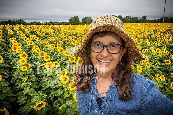 Sunflowers - TJP (10 of 29)