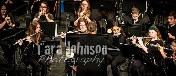 (web banners) 22 Winter WLMS - Band MM  (@ 72 ppi & 10 MB max) - TJP (5 of 32)