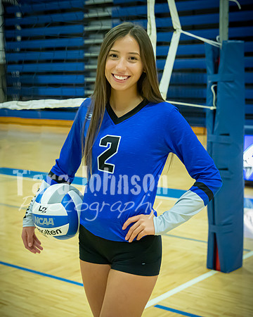 2020 LHS VB Senior Collage - 2 - TJP (3 of 10)