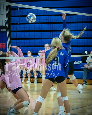 2020 LHS VB Senior Collage - JV - TJP (1 of 39)
