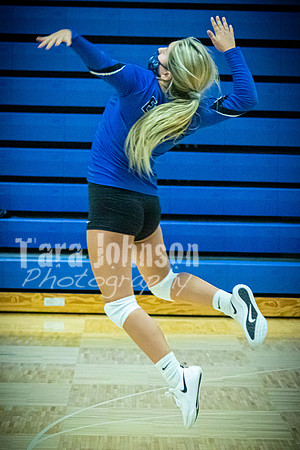 2020 LHS VB Senior Collage - JV - TJP (4 of 39)