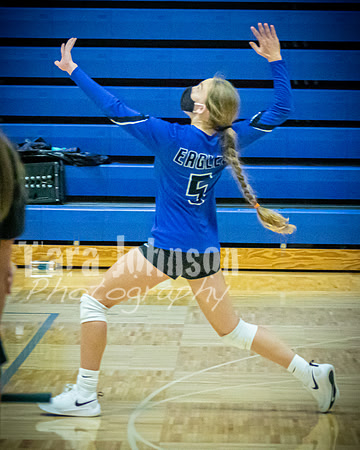 2020 LHS VB Senior Collage - JV - TJP (12 of 39)