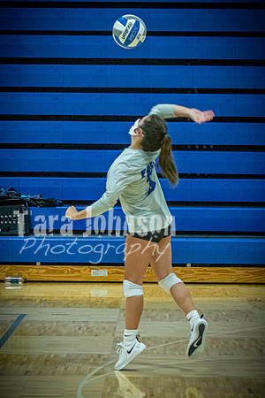 2020 LHS VB Senior Collage - JV - TJP (29 of 39)