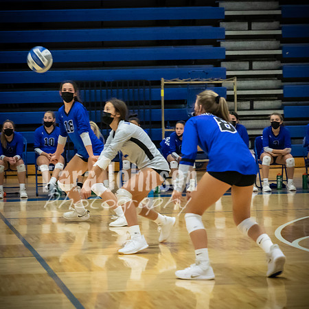 2020 LHS VB Senior Collage - Combo - TJP (30 of 41)