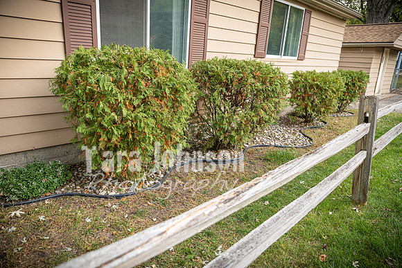 Homestead - 3159 Royal Boulevard - TJP (11 of 12)