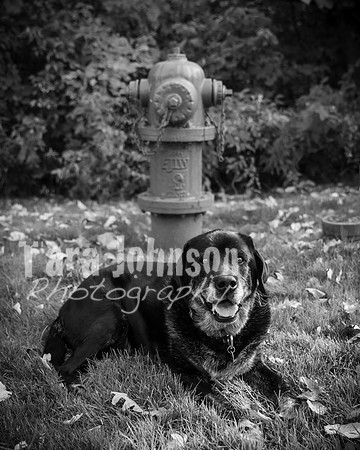 James Lindenberg - BW - TJP (56 of 151)