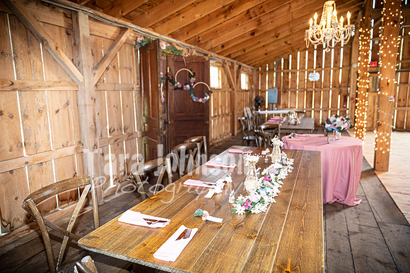 G. & A. Hofelich Wedding - Part 2 - TJP (5 of 474)
