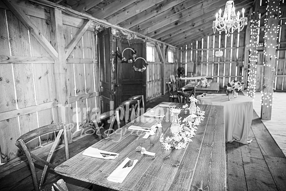 G. & A. Hofelich Wedding - Part 2 - BW - TJP (5 of 474)