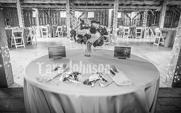G. & A. Hofelich Wedding - Part 2 - BW - TJP (8 of 474)