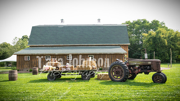 G. & A. Hofelich Wedding - Part 2 - TJP (25 of 474)