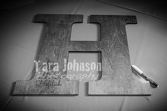 G. & A. Hofelich Wedding - Part 2 - BW - TJP (16 of 474)