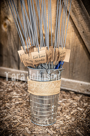 G. & A. Hofelich Wedding - Part 2 - TJP (32 of 474)