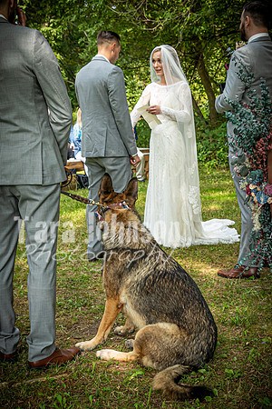 G. & A. Hofelich Wedding - Part 2 - TJP (121 of 474)
