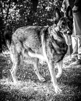 G&A Hofelich - Rehearsal - BW - TJP (4 of 97)