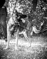G&A Hofelich - Rehearsal - BW - TJP (5 of 97)