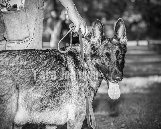 G&A Hofelich - Rehearsal - BW - TJP (22 of 97)