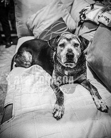 G&A Hofelich - Rehearsal - BW - TJP (71 of 97)