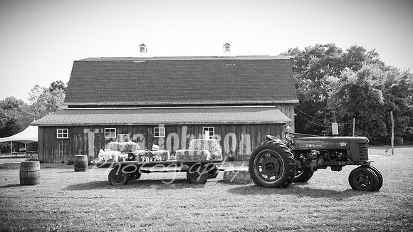 G. & A. Hofelich Wedding - Part 2 - BW - TJP (25 of 474)