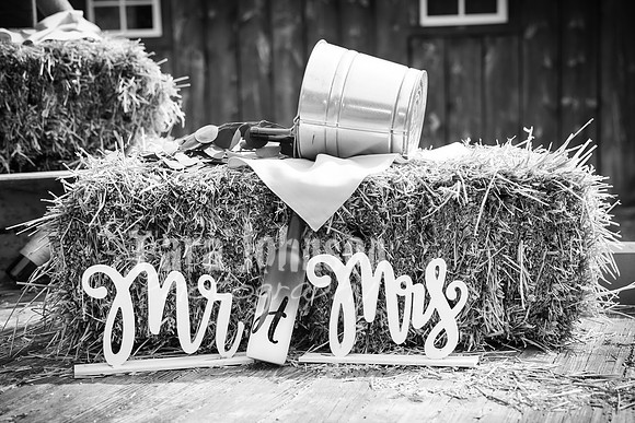 G. & A. Hofelich Wedding - Part 2 - BW - TJP (29 of 474)