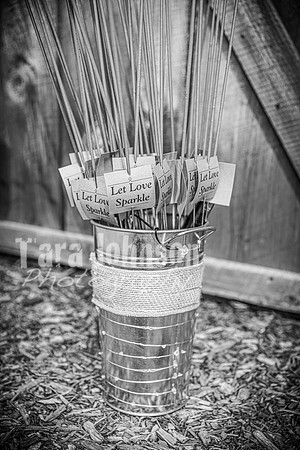 G. & A. Hofelich Wedding - Part 2 - BW - TJP (32 of 474)
