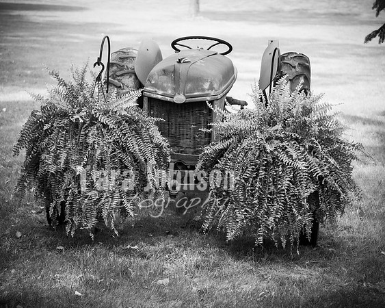 G. & A. Hofelich Wedding - Part 2 - BW - TJP (51 of 474)