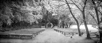 G. & A. Hofelich - Highlights - BW - TJP (10 of 454)