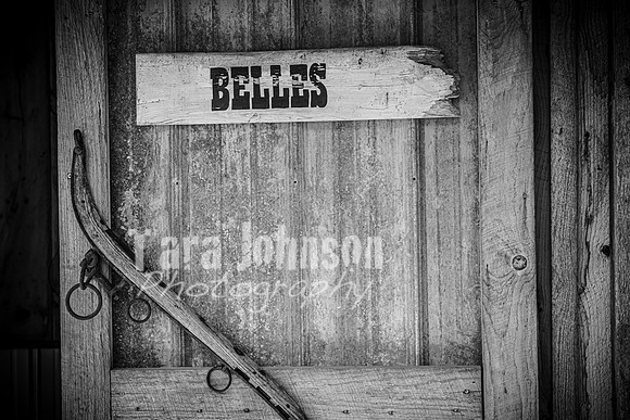 G. & A. Hofelich - Highlights - BW - TJP (126 of 454)