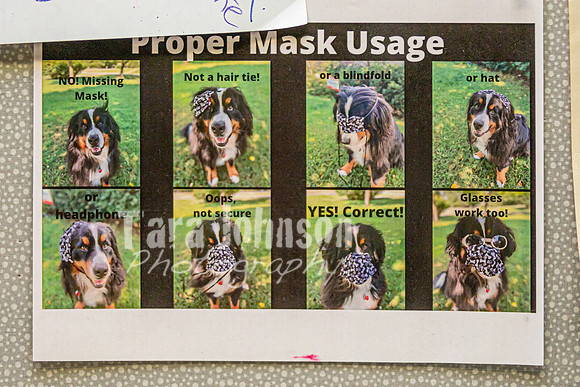 (print) 21 Fall Muir 11-17 (Full Res, Various Sizes) - TJP (33 of 51)