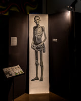 2024 IA DP Art Exhibition  - No Certificate - TJP (1 of 33)