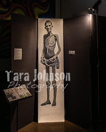 2024 IA DP Art Exhibition  - No Certificate - TJP (1 of 33)