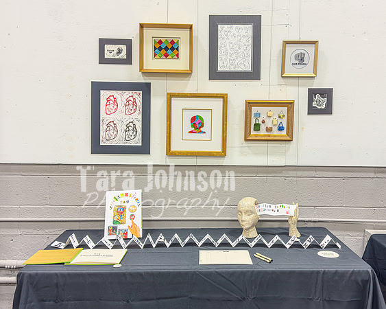 2024 IA DP Art Exhibition  - No Certificate - TJP (9 of 33)