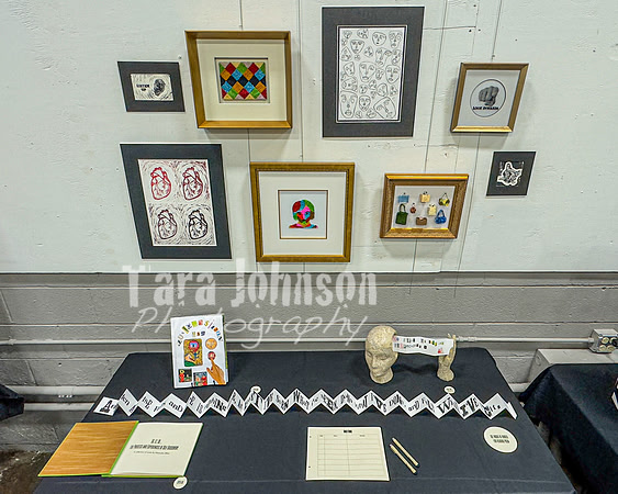 2024 IA DP Art Exhibition  - No Certificate - TJP (10 of 33)
