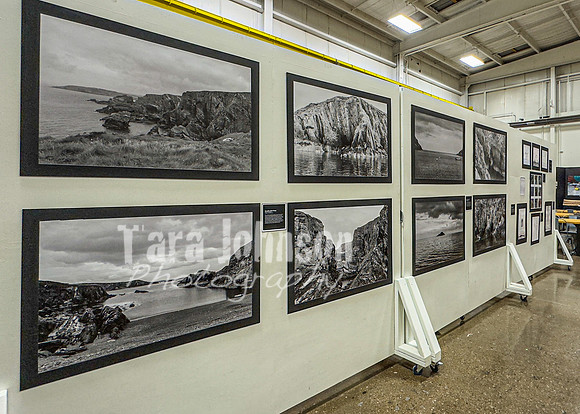 2024 IA DP Art Exhibition  - No Certificate - TJP (32 of 33)